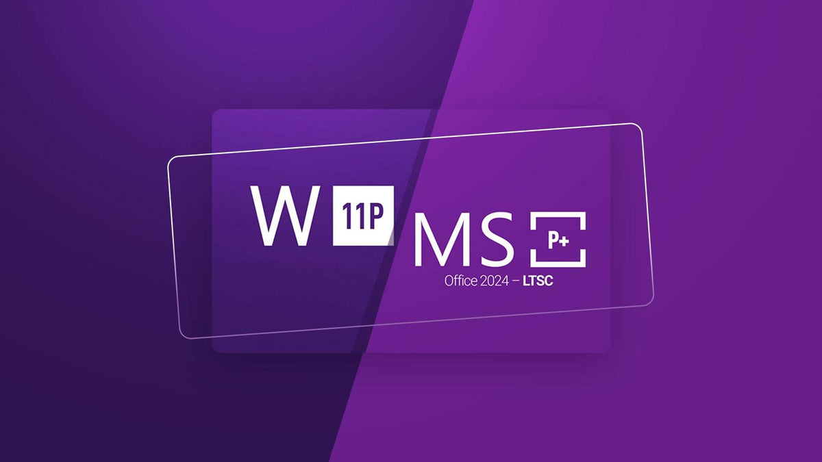 Windows 11 Professional & MS Office 2024 Professional Plus LTSC Bundle Key