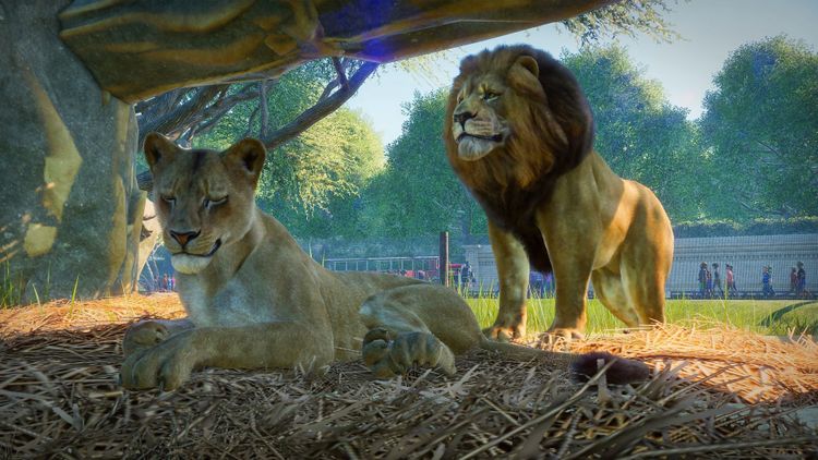Planet Zoo Steam CD Key