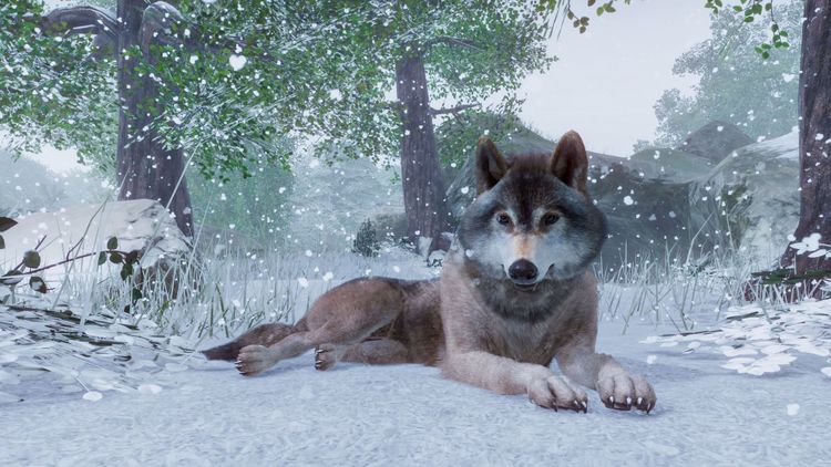 Planet Zoo Steam CD Key