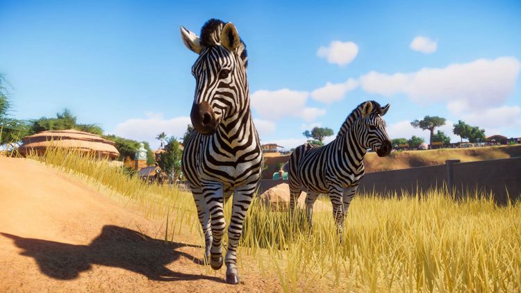 Planet Zoo Steam CD Key