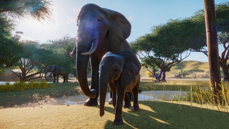 Planet Zoo Steam CD Key