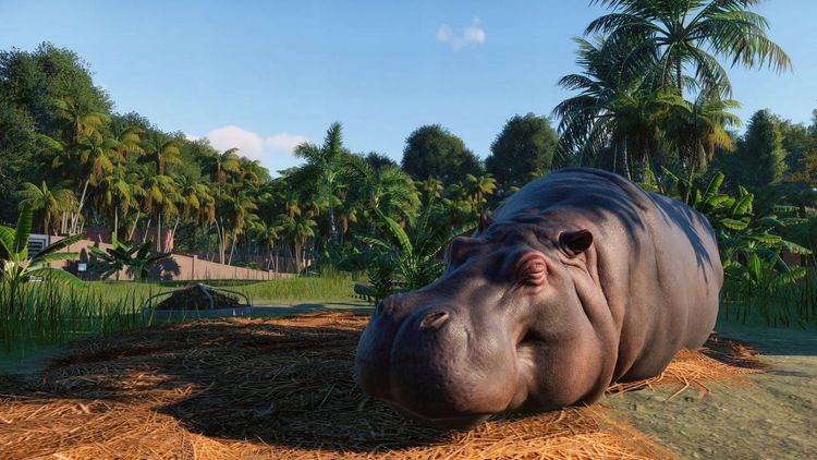 Planet Zoo Steam CD Key