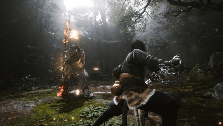 Black Myth: Wukong RoW PC Steam CD Key