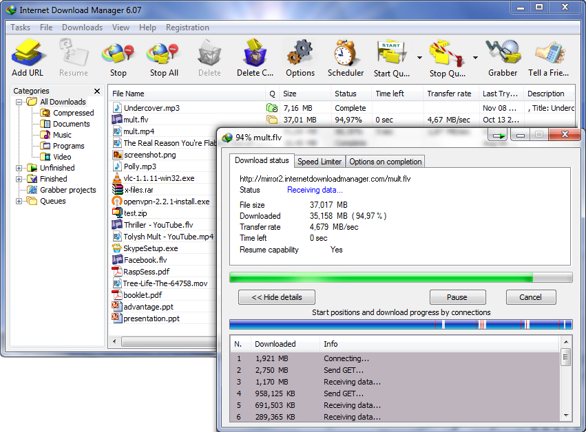 Internet Download Manager (Lifetime License / 1 PC)