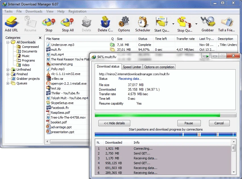 Internet Download Manager (Lifetime License / 1 PC)