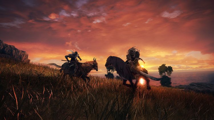 Elden Ring EU Steam CD Key