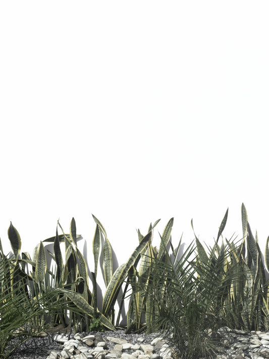 green leaves under white sky