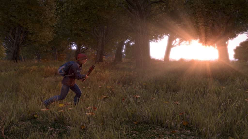 DayZ PC LATAM Steam CD Key