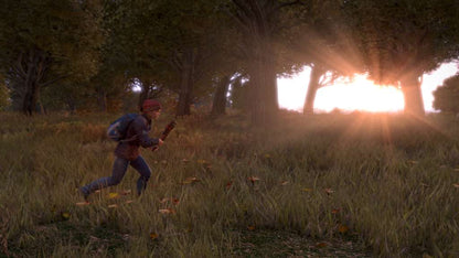 DayZ PC LATAM Steam CD Key