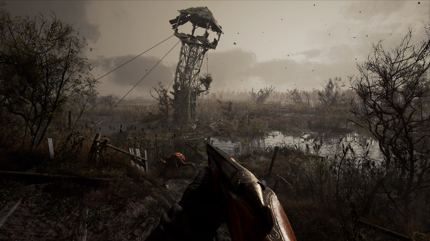 S.T.A.L.K.E.R. 2: Heart of Chornobyl EU PC Steam CD Key