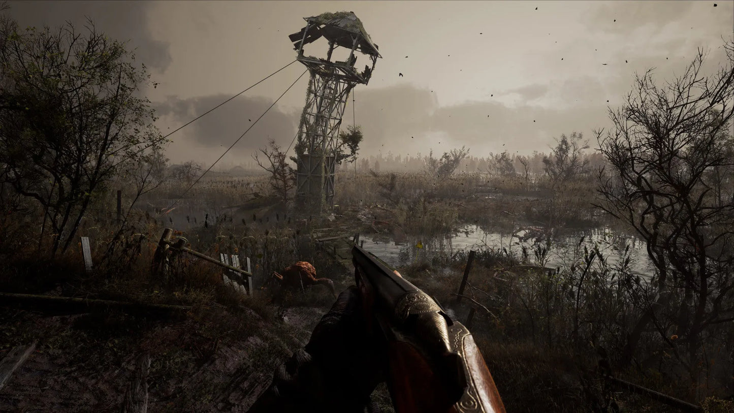 S.T.A.L.K.E.R. 2: Heart of Chornobyl EU PC Steam CD Key