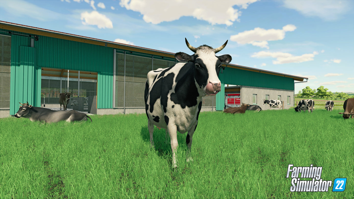 Farming Simulator 22 EU PC Steam CD Key