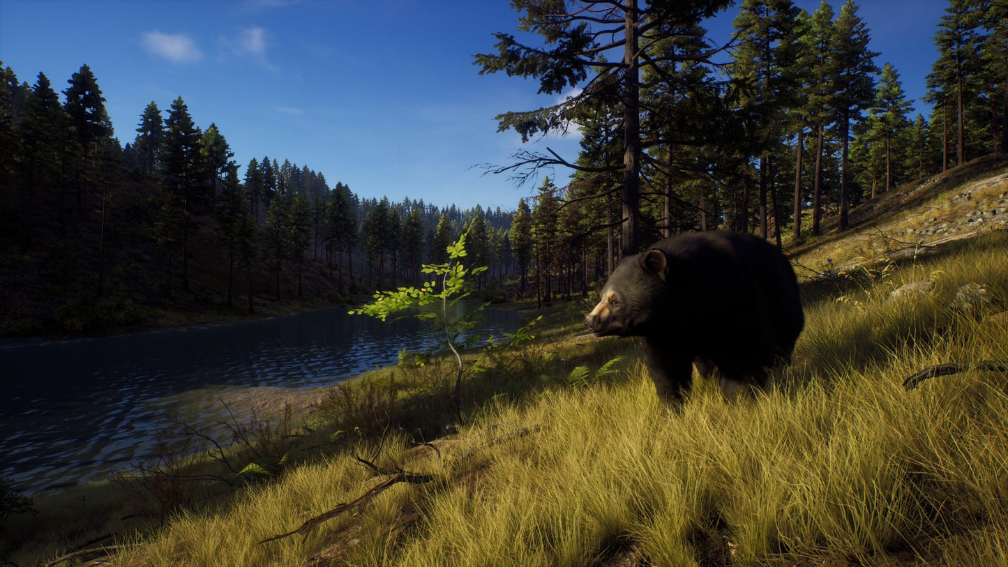 Way of the Hunter Steam CD Key
