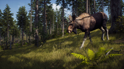 Way of the Hunter Steam CD Key