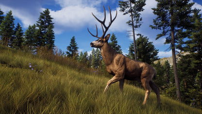 Way of the Hunter Steam CD Key