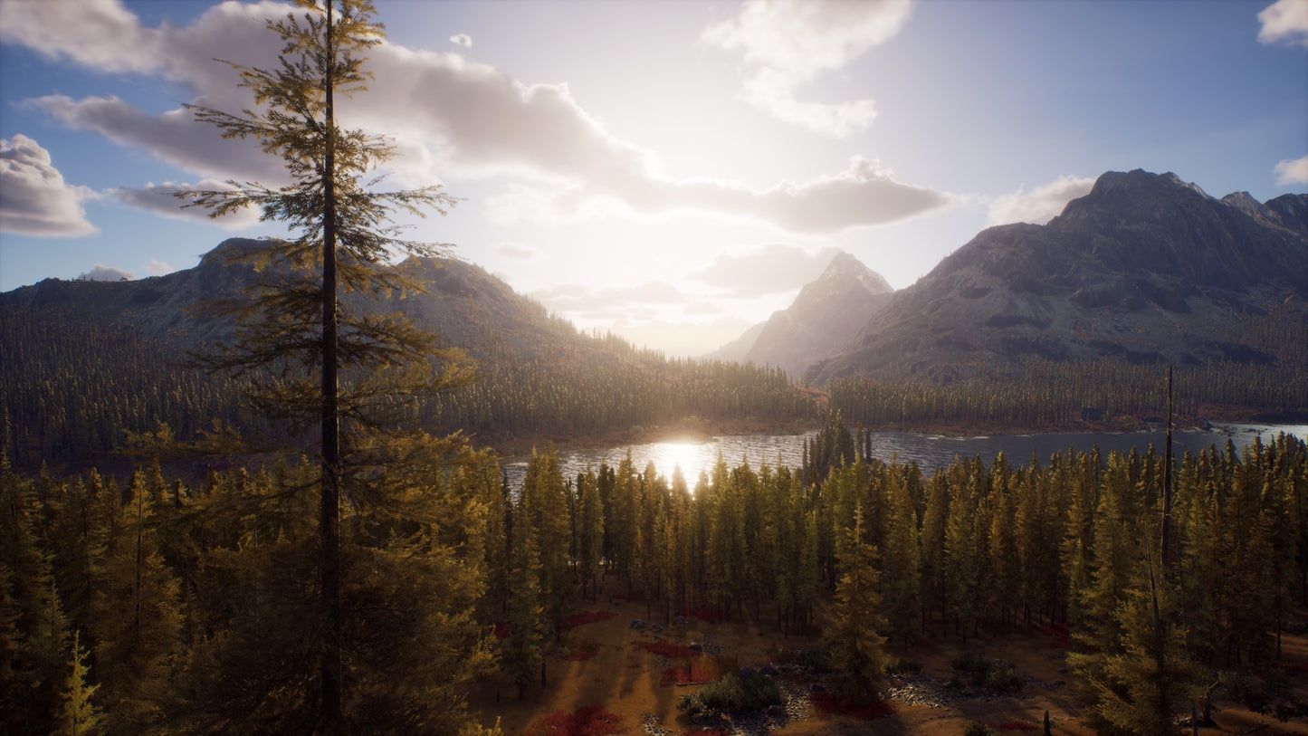 Way of the Hunter Elite Edition PC Steam CD Key