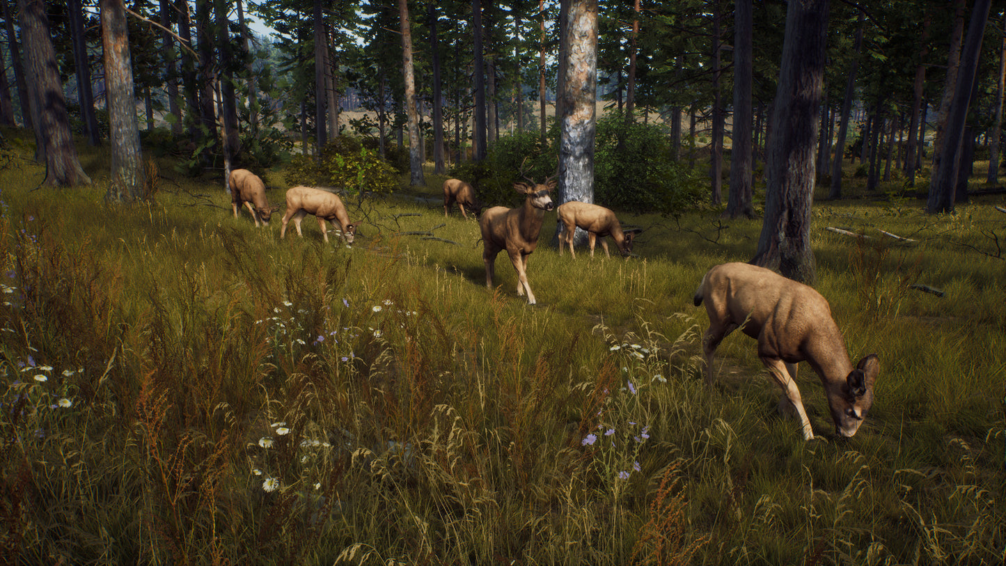 Way of the Hunter Elite Edition PC Steam CD Key