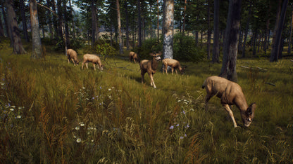 Way of the Hunter Elite Edition PC Steam CD Key