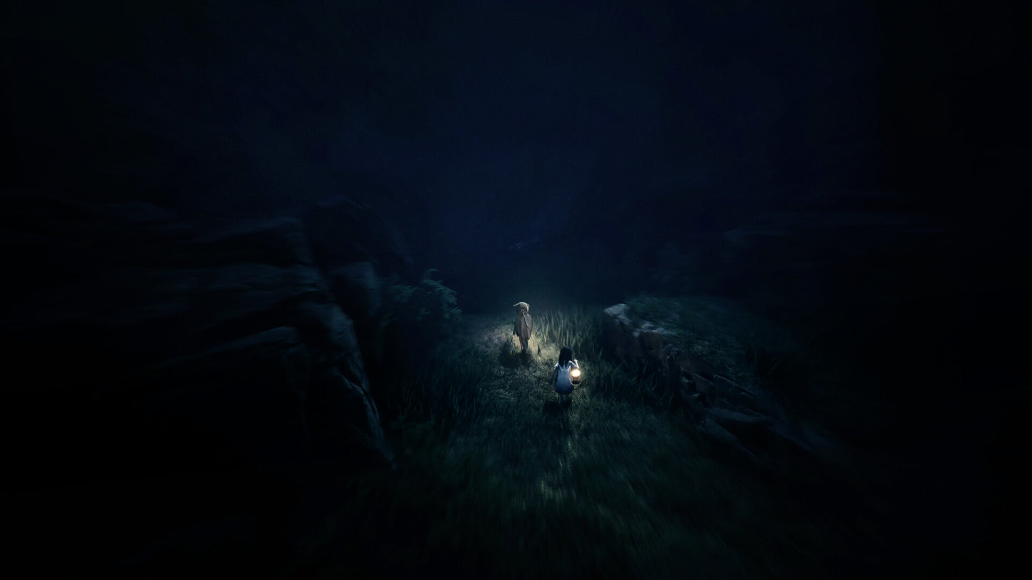 REANIMAL PC Steam CD Key