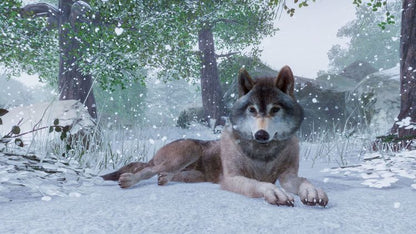 Planet Zoo Steam CD Key