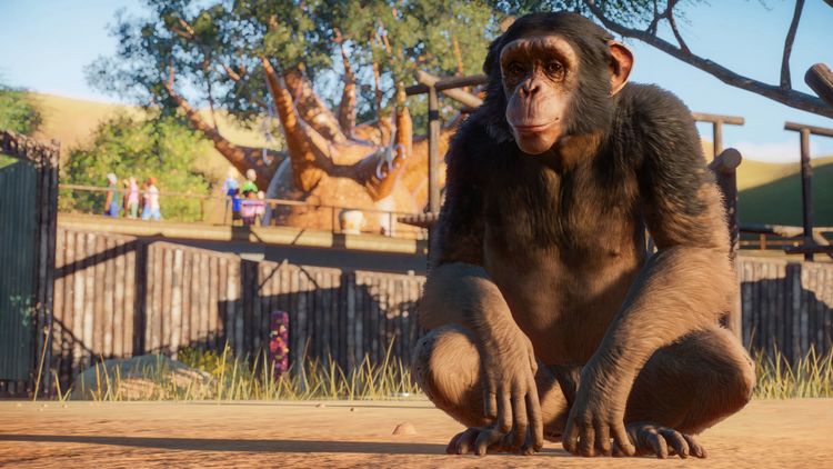Planet Zoo Steam CD Key
