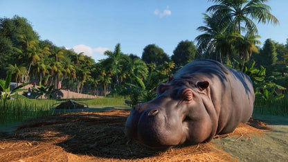 Planet Zoo Steam CD Key