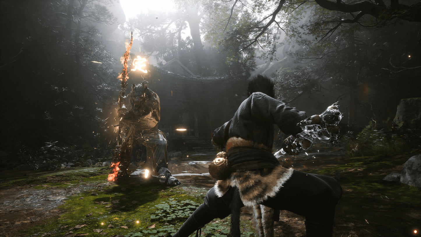 Black Myth: Wukong PC Steam CD Key