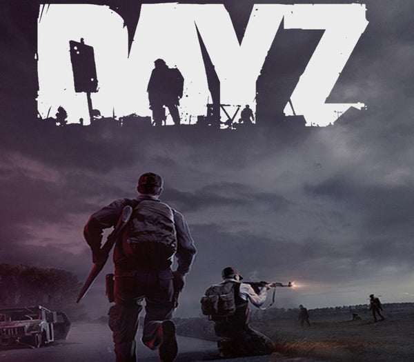 DayZ PC LATAM Steam CD Key