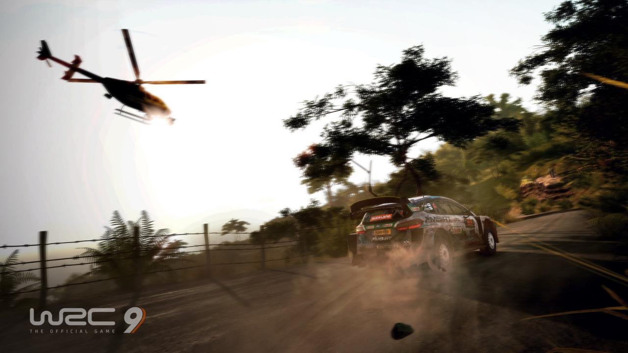 WRC 9 FIA World Rally Championship EU PC Steam CD Key