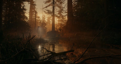 Alan Wake 2 EU Epic Games CD Key