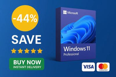 Windows 11 Professional Key