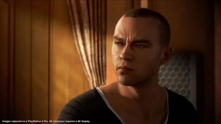 Detroit: Become Human Steam CD Key ( region free) - CodeXDeal -  -  - 