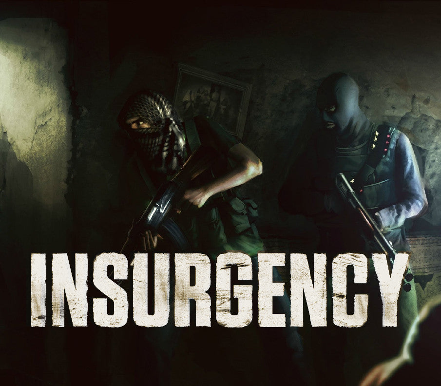 Insurgency ASIA PC Steam CD Key