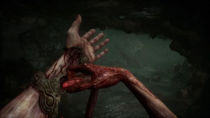 Scorn Steam CD Key ( region free ) - CodeXDeal -  -  - 