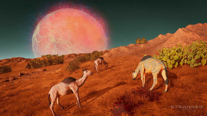 Stranded: Alien Dawn (Region free) for steam - CodeXDeal -  -  - Stranded: Alien Dawn