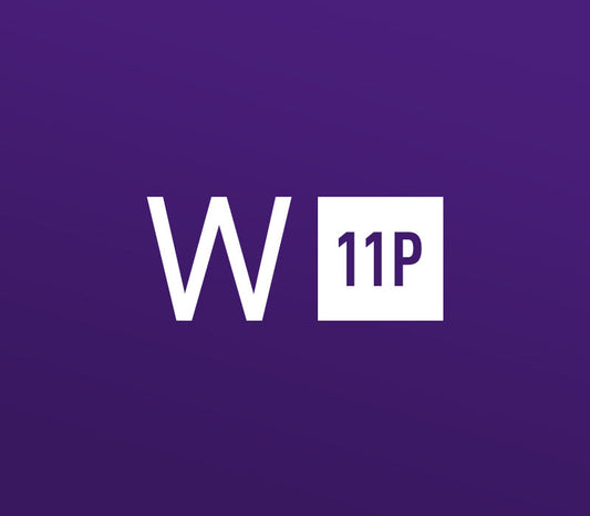 Windows 11 Professional OEM Key - CodeXDeal