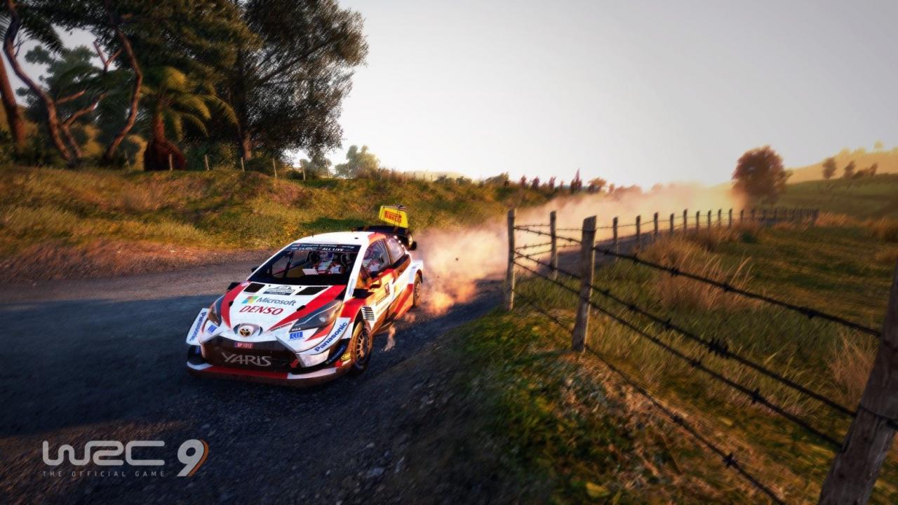 WRC 9 FIA World Rally Championship EU PC Steam CD Key