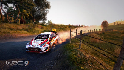 WRC 9 FIA World Rally Championship EU PC Steam CD Key