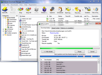 Internet Download Manager (Lifetime License / 1 PC)