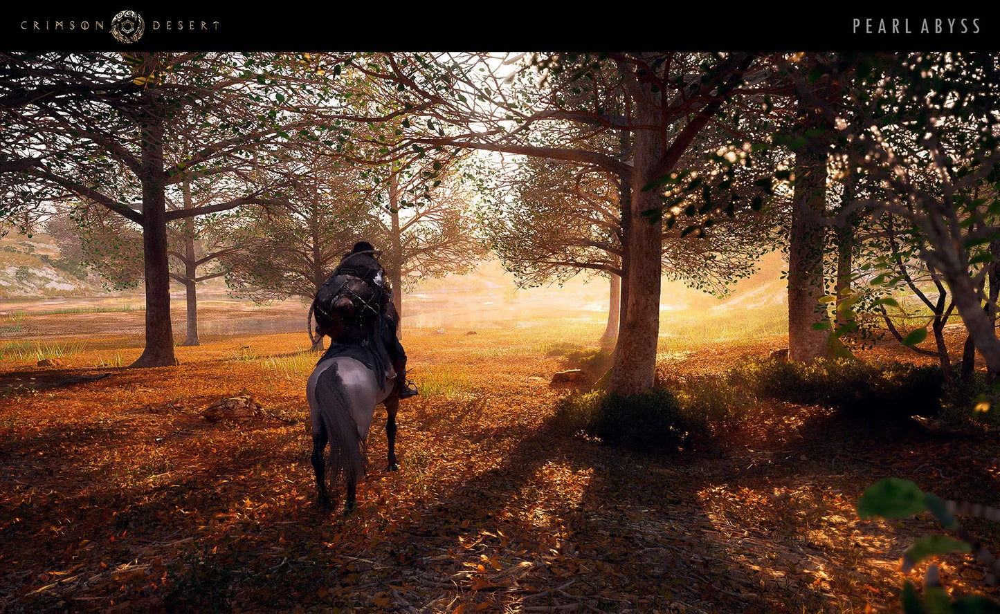 Crimson Desert EU PC Steam CD Key