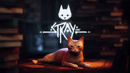 Stray Steam CD Key (GLOBAL)