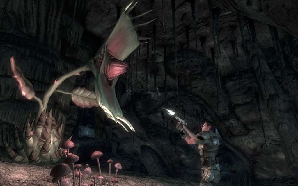 Fallout 3 GOTY + Fallout New Vegas RoW Steam CD Key