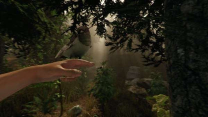 The Forest PC Steam CD Key