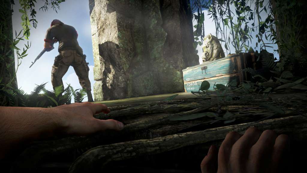 Far Cry 3 Deluxe Edition PC Steam CD Key