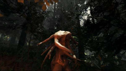 The Forest PC Steam CD Key